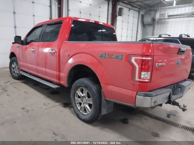 Photo 2 VIN: 1FTEW1EG4GKD56238 - FORD F150 