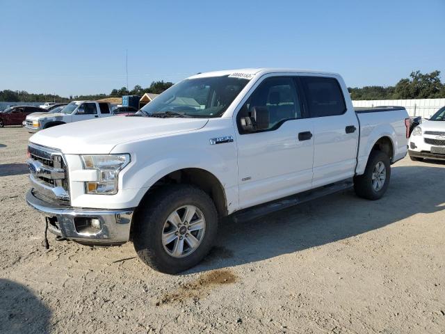 Photo 0 VIN: 1FTEW1EG4GKE52628 - FORD F150 SUPER 