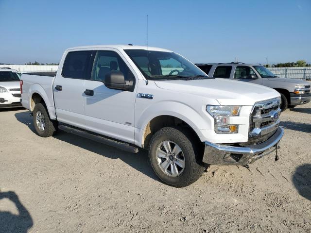 Photo 3 VIN: 1FTEW1EG4GKE52628 - FORD F150 SUPER 