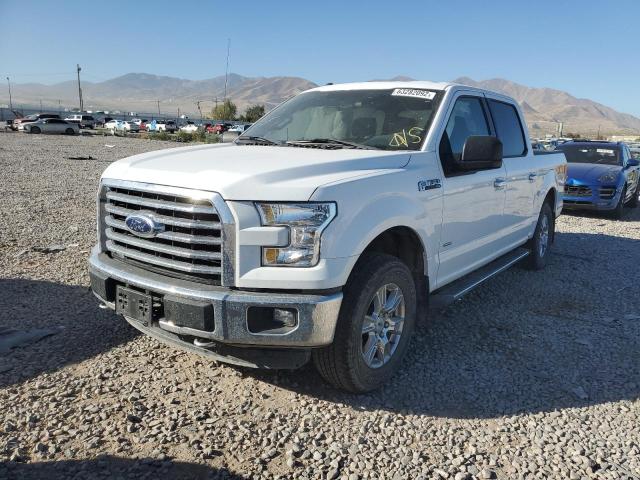 Photo 1 VIN: 1FTEW1EG4GKF22242 - FORD F150 SUPER 