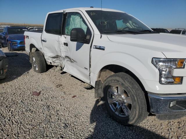 Photo 8 VIN: 1FTEW1EG4GKF22242 - FORD F150 SUPER 