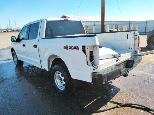 Photo 8 VIN: 1FTEW1EG4HKC31029 - FORD F150 SUPER 