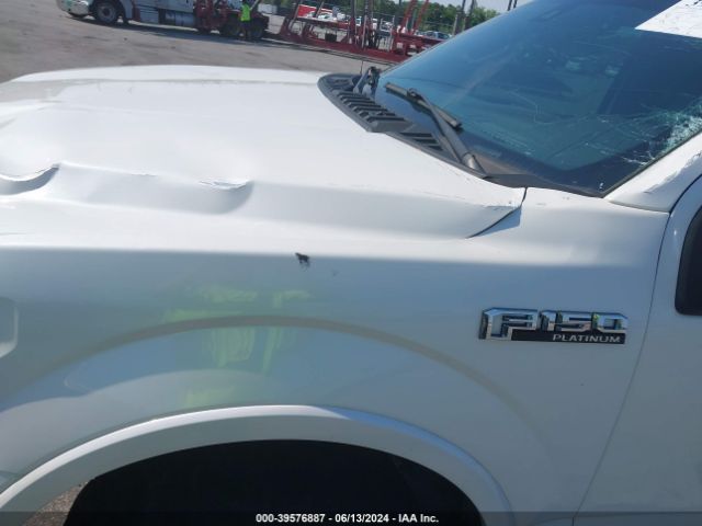 Photo 5 VIN: 1FTEW1EG5FFA14479 - FORD F-150 