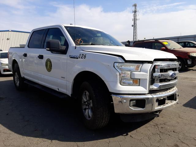 Photo 0 VIN: 1FTEW1EG5FFA20668 - FORD F150 SUPER 