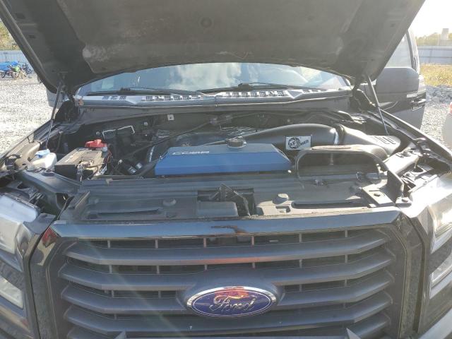 Photo 10 VIN: 1FTEW1EG5GFA51033 - FORD F150 SUPER 