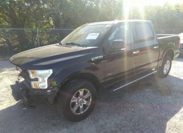 Photo 1 VIN: 1FTEW1EG5GFA99664 - FORD F-150 