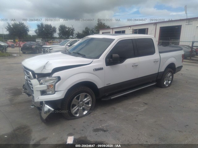 Photo 1 VIN: 1FTEW1EG5GKE09013 - FORD F-150 