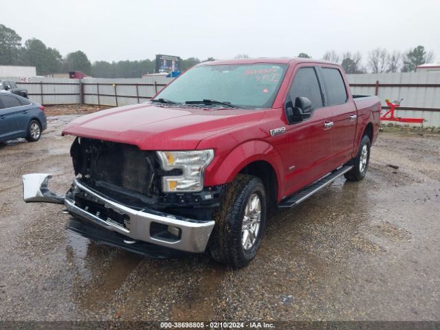 Photo 1 VIN: 1FTEW1EG6FFA54215 - FORD F-150 