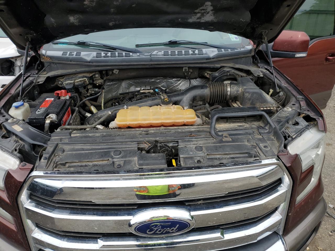 Photo 10 VIN: 1FTEW1EG6FFB04868 - FORD F-150 