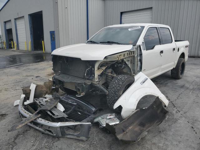 Photo 1 VIN: 1FTEW1EG6FFC61350 - FORD F150 SUPER 