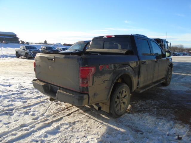 Photo 3 VIN: 1FTEW1EG6GFC22436 - FORD F-150 