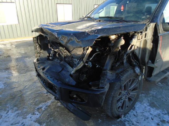 Photo 8 VIN: 1FTEW1EG6GFC22436 - FORD F-150 