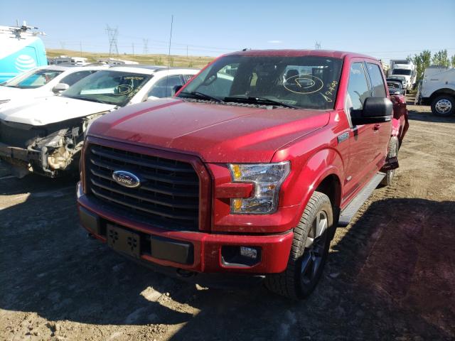 Photo 1 VIN: 1FTEW1EG6GFC84032 - FORD F150 SUPER 