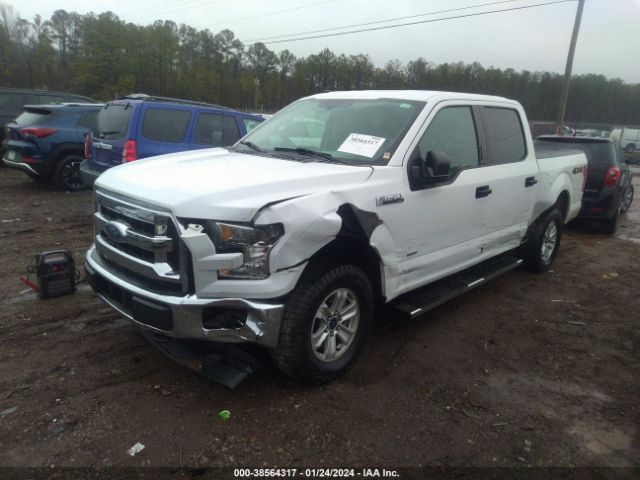 Photo 1 VIN: 1FTEW1EG6HFC37617 - FORD F-150 