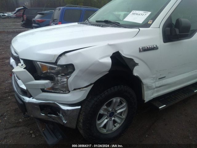 Photo 5 VIN: 1FTEW1EG6HFC37617 - FORD F-150 