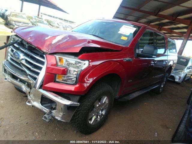 Photo 1 VIN: 1FTEW1EG6HKD54914 - FORD F-150 