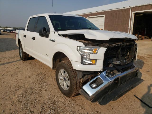 Photo 0 VIN: 1FTEW1EG7FFA90687 - FORD F150 SUPER 