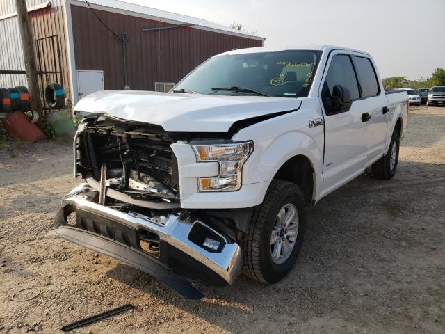 Photo 1 VIN: 1FTEW1EG7FFA90687 - FORD F150 SUPER 