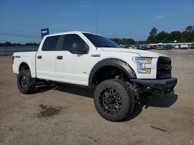 Photo 3 VIN: 1FTEW1EG7GFC32599 - FORD F150 SUPER 