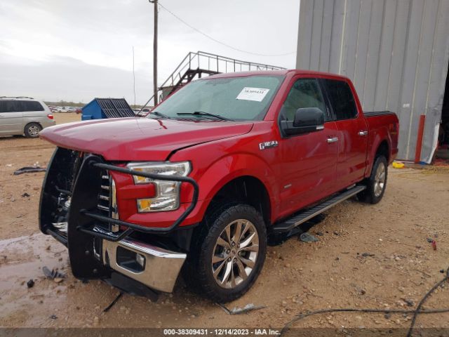 Photo 1 VIN: 1FTEW1EG7GKD40762 - FORD F-150 