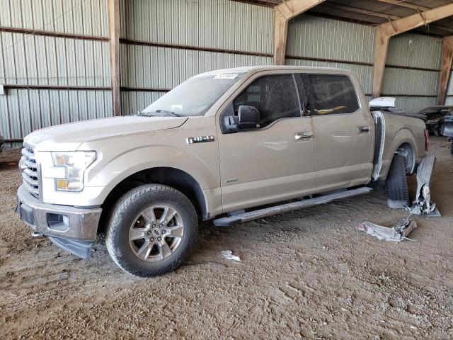 Photo 0 VIN: 1FTEW1EG7HKC15598 - FORD F150 SUPER 