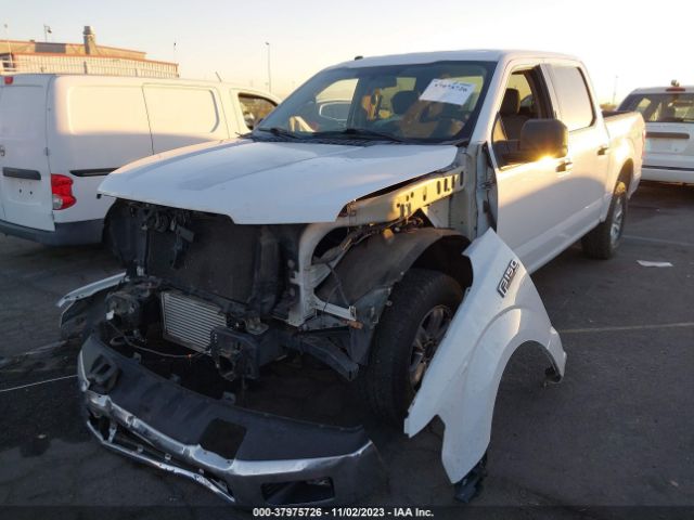 Photo 1 VIN: 1FTEW1EG7JKE80883 - FORD F-150 