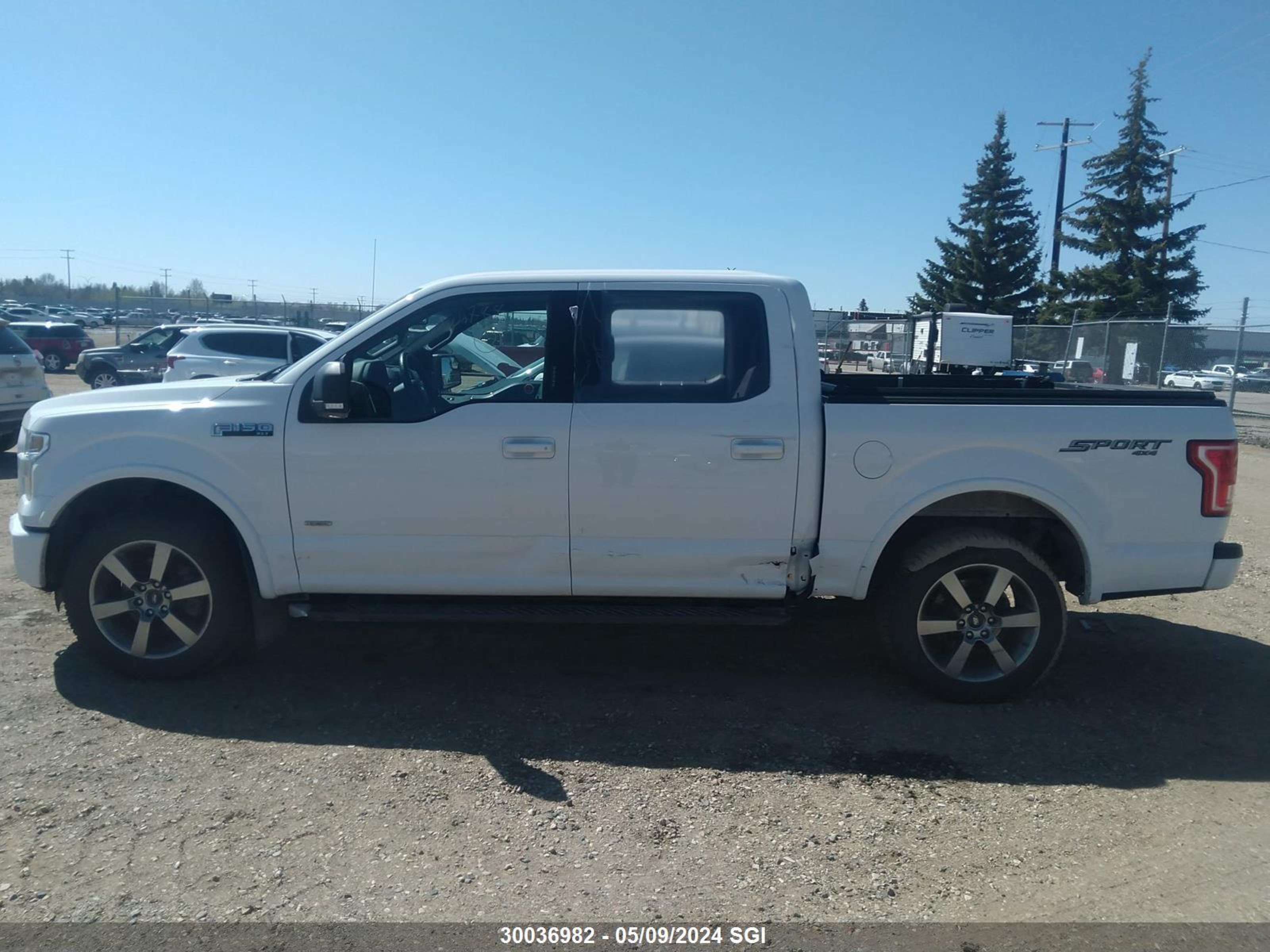 Photo 13 VIN: 1FTEW1EG8FFB26788 - FORD F-150 