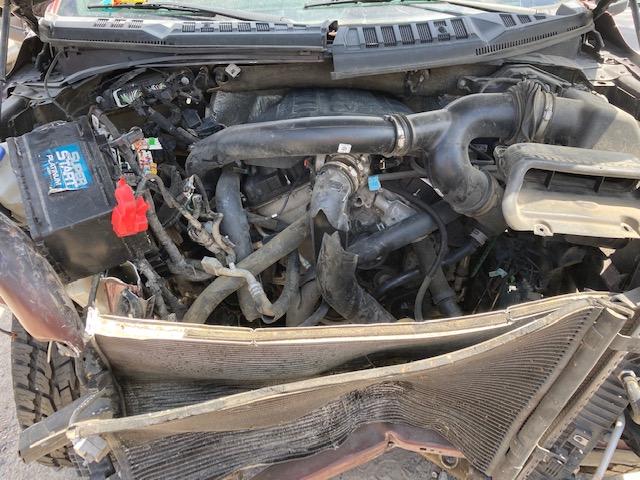 Photo 6 VIN: 1FTEW1EG8FFB61279 - FORD F150 SUPER 