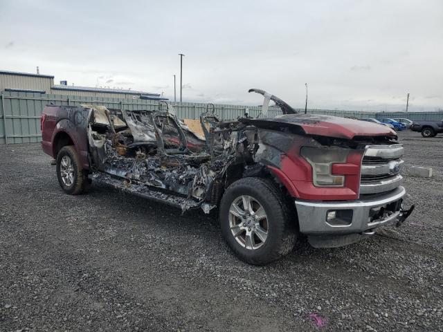 Photo 3 VIN: 1FTEW1EG8GFA01646 - FORD F150 SUPER 