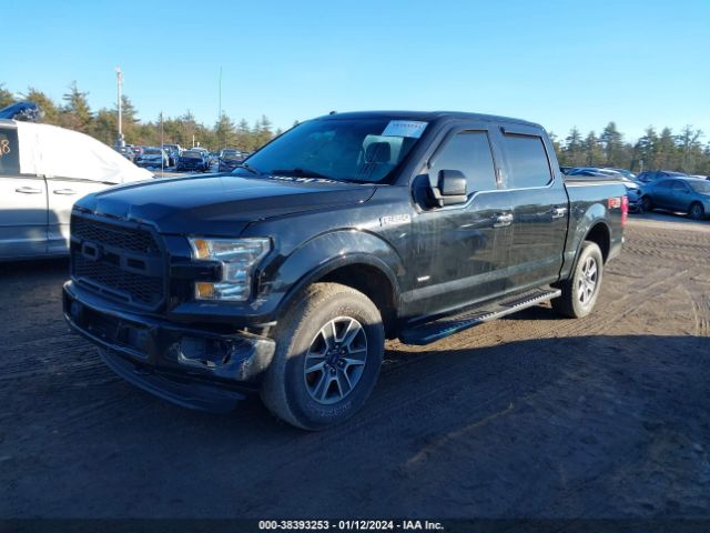 Photo 1 VIN: 1FTEW1EG8GFB29241 - FORD F-150 