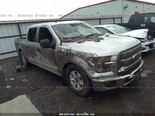 Photo 0 VIN: 1FTEW1EG8GFB56696 - FORD F-150 