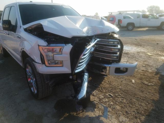 Photo 8 VIN: 1FTEW1EG8GFD52962 - FORD F150 SUPER 