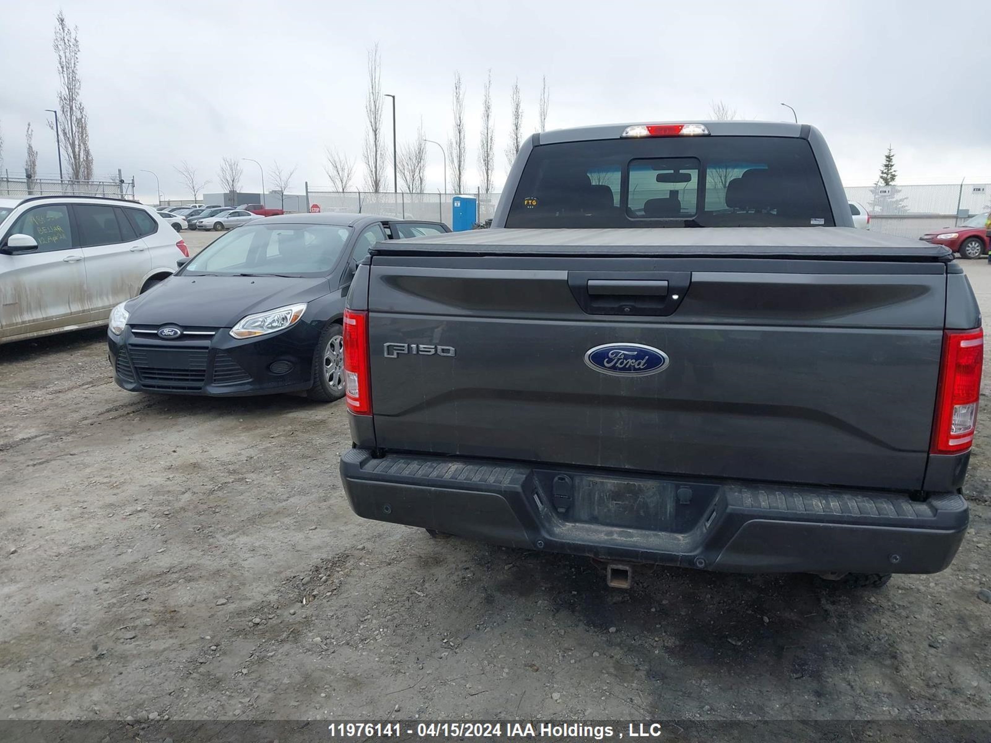 Photo 15 VIN: 1FTEW1EG8GKD48420 - FORD F-150 