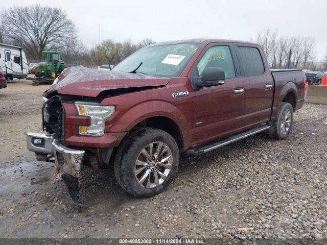 Photo 1 VIN: 1FTEW1EG8HFA31912 - FORD F-150 