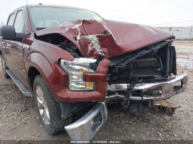 Photo 5 VIN: 1FTEW1EG8HFA31912 - FORD F-150 