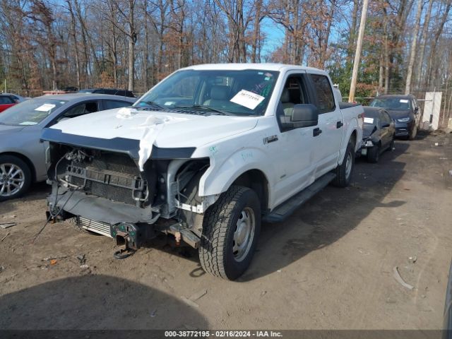 Photo 1 VIN: 1FTEW1EG8HFB35722 - FORD F-150 