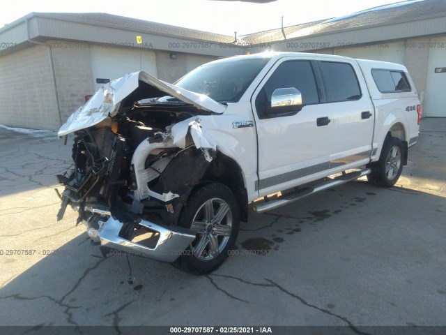 Photo 1 VIN: 1FTEW1EG8JKD37246 - FORD F-150 