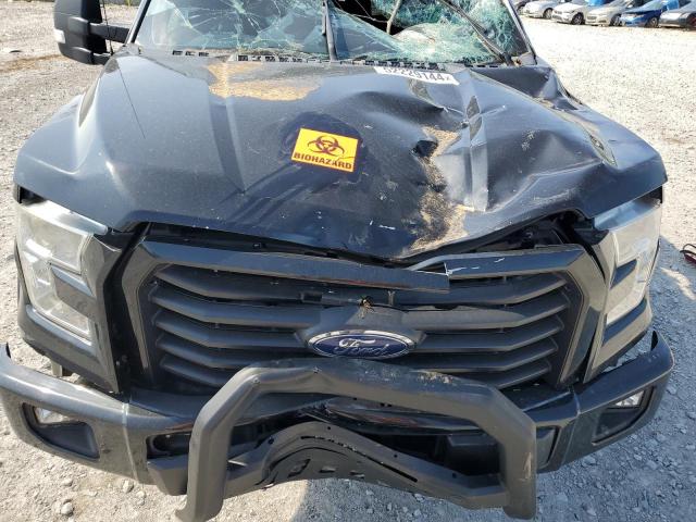 Photo 10 VIN: 1FTEW1EG9FKE14228 - FORD F150 SUPER 