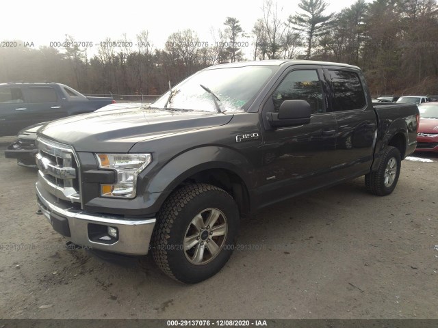 Photo 1 VIN: 1FTEW1EG9GFB28454 - FORD F-150 