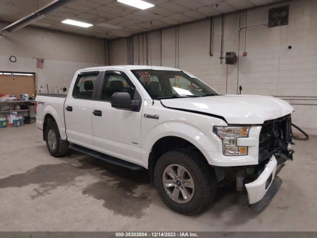 Photo 0 VIN: 1FTEW1EP0FFC43698 - FORD F-150 