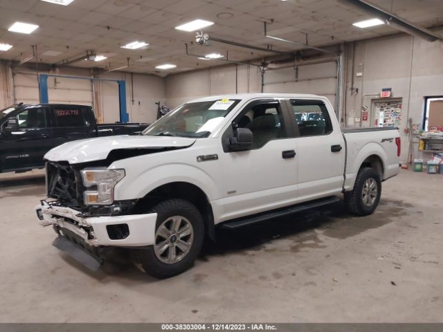 Photo 1 VIN: 1FTEW1EP0FFC43698 - FORD F-150 