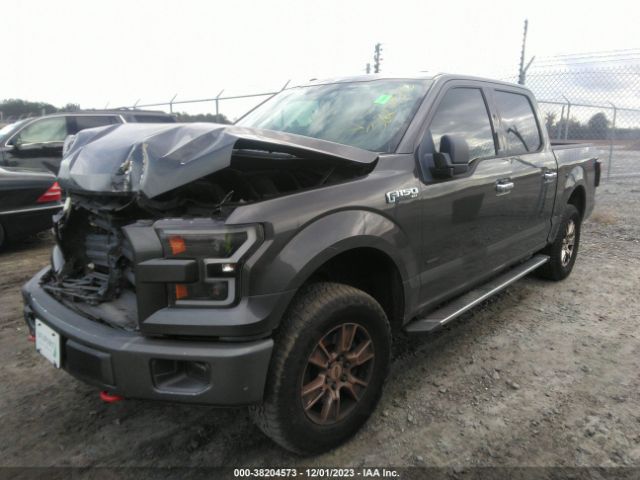 Photo 1 VIN: 1FTEW1EP0FKD90658 - FORD F-150 