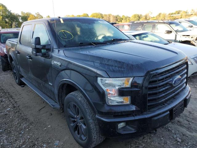 Photo 8 VIN: 1FTEW1EP0GFD44130 - FORD F150 SUPER 