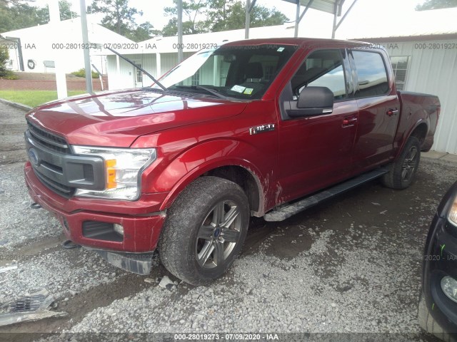 Photo 1 VIN: 1FTEW1EP0JFA54333 - FORD F-150 