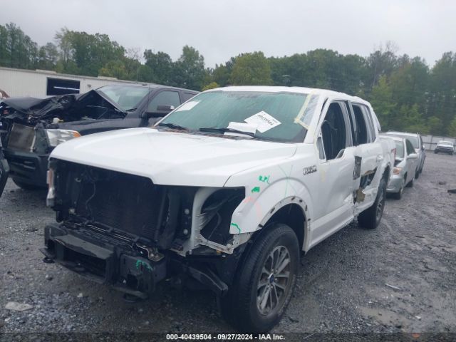 Photo 1 VIN: 1FTEW1EP0JKE05619 - FORD F-150 