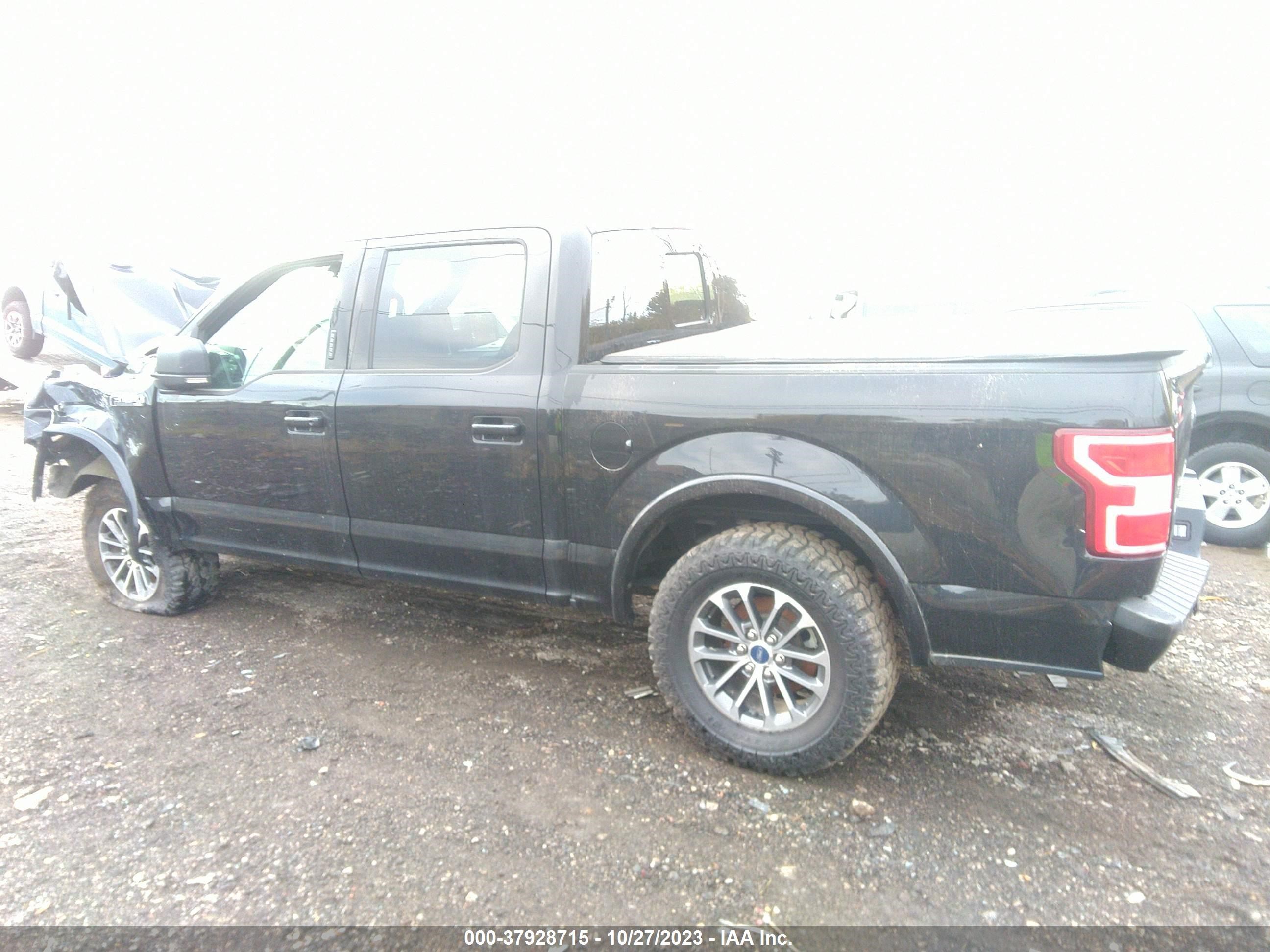 Photo 13 VIN: 1FTEW1EP0KFB27587 - FORD F-150 