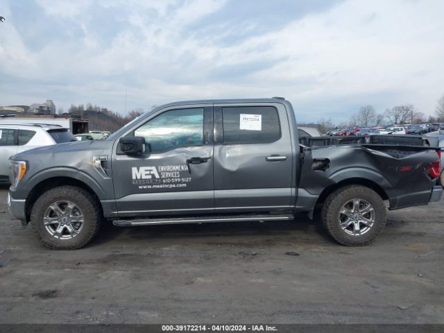 Photo 5 VIN: 1FTEW1EP0MKD30232 - FORD F-150 