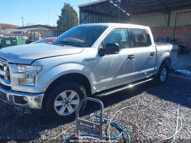 Photo 1 VIN: 1FTEW1EP1FFB29726 - FORD F-150 