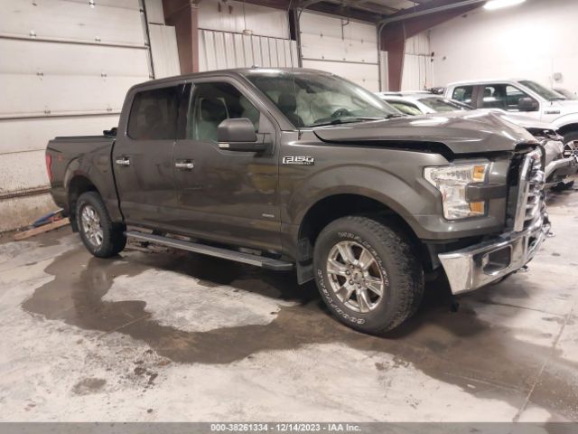 Photo 0 VIN: 1FTEW1EP1FKE73791 - FORD F-150 