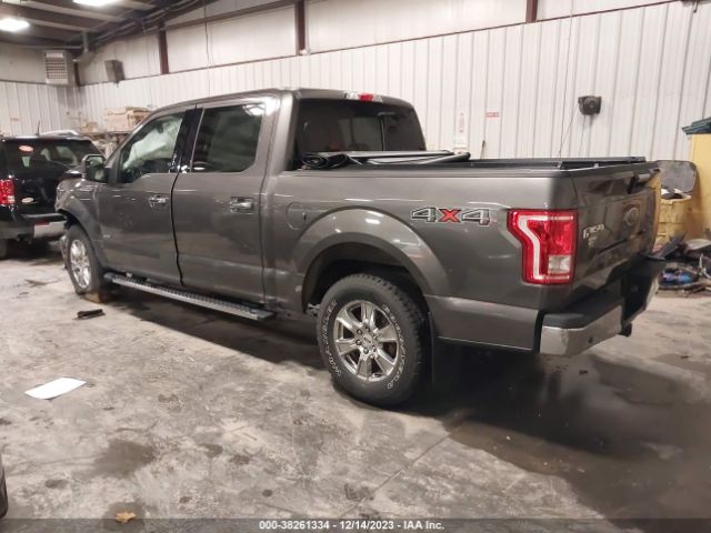 Photo 2 VIN: 1FTEW1EP1FKE73791 - FORD F-150 